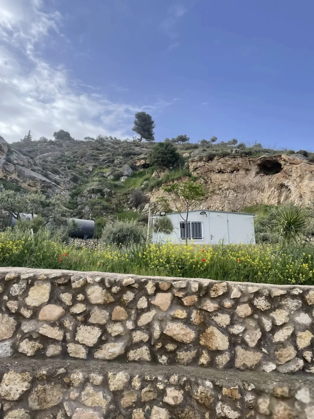 مزرعة 4 دونمات في مغاريب السلط إطلالة على فلسطين للبيع