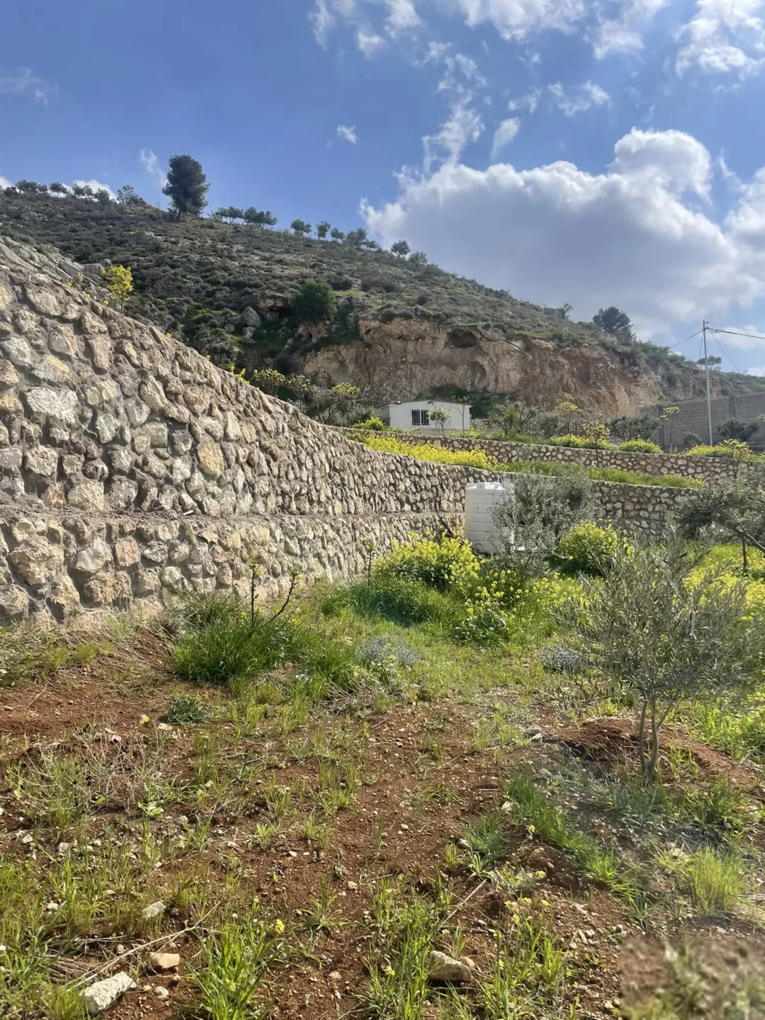 مزرعة 4 دونمات في مغاريب السلط إطلالة على فلسطين للبيع