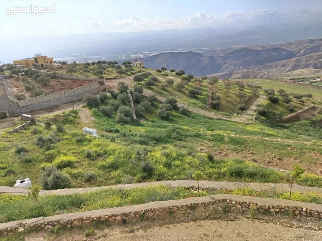 مزرعة 4 دونمات في مغاريب السلط إطلالة على فلسطين للبيع