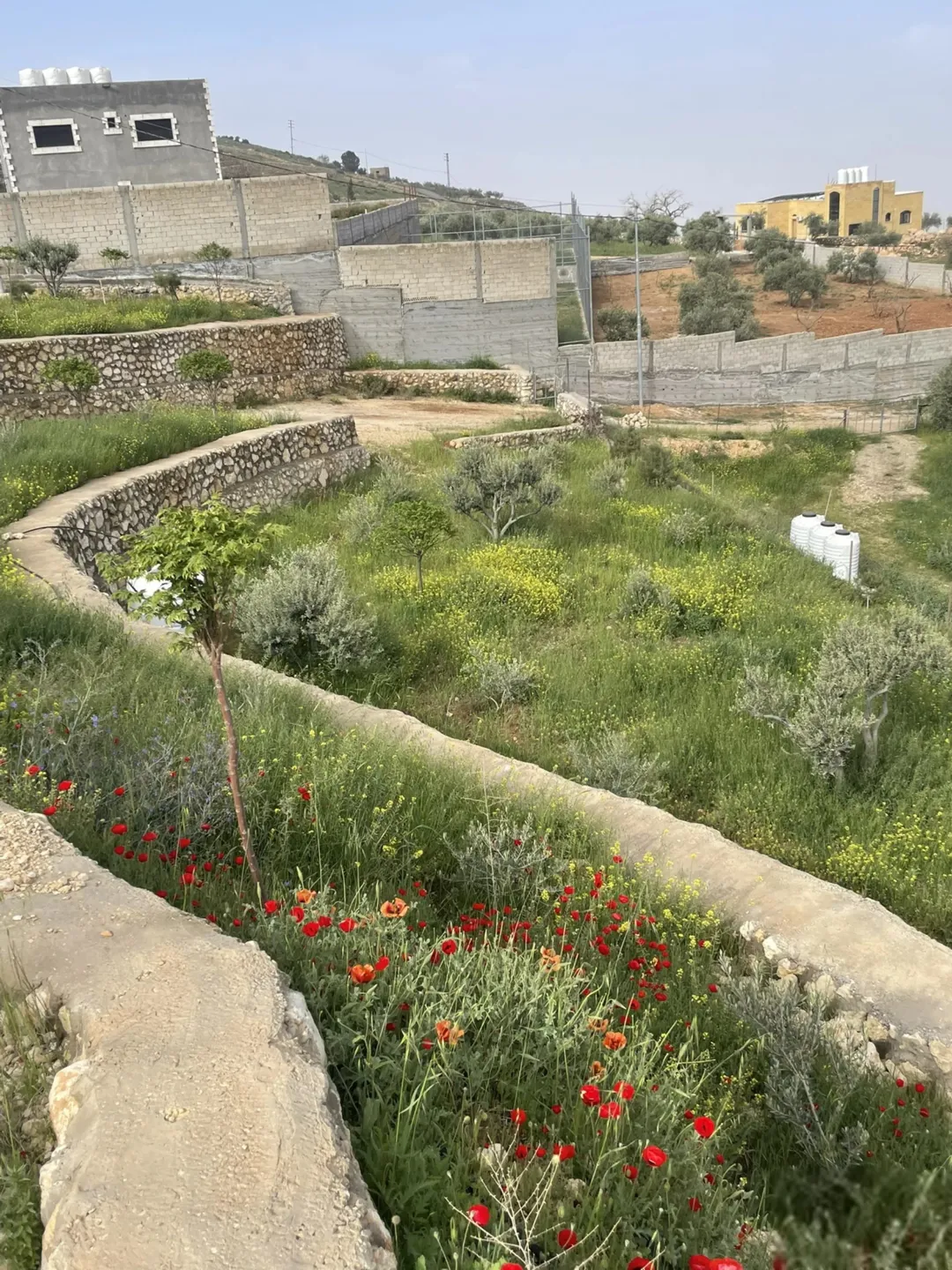 مزرعة 4 دونمات في مغاريب السلط إطلالة على فلسطين للبيع