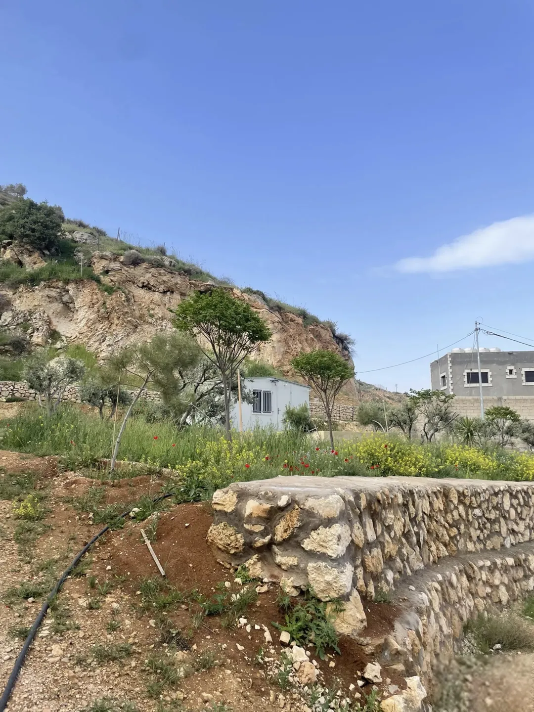 مزرعة 4 دونمات في مغاريب السلط إطلالة على فلسطين للبيع