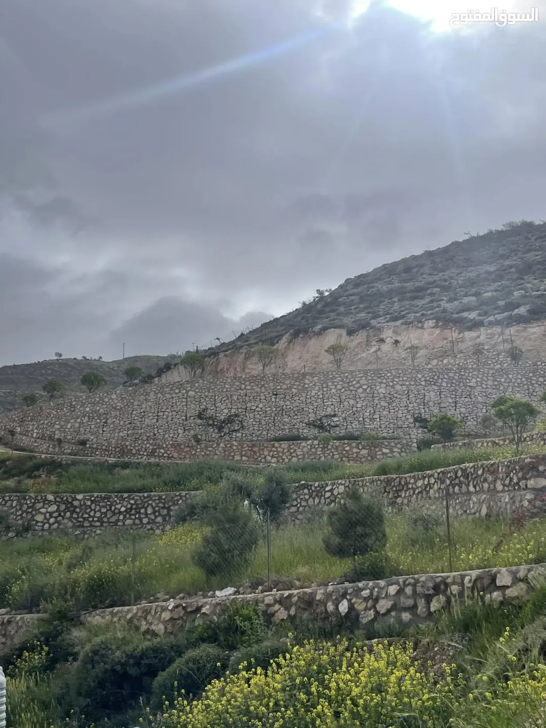 مزرعة 4 دونمات في مغاريب السلط إطلالة على فلسطين للبيع
