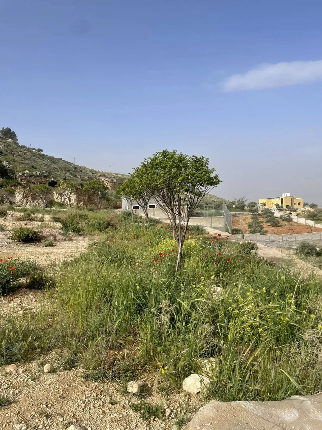 مزرعة 4 دونمات في مغاريب السلط إطلالة على فلسطين للبيع