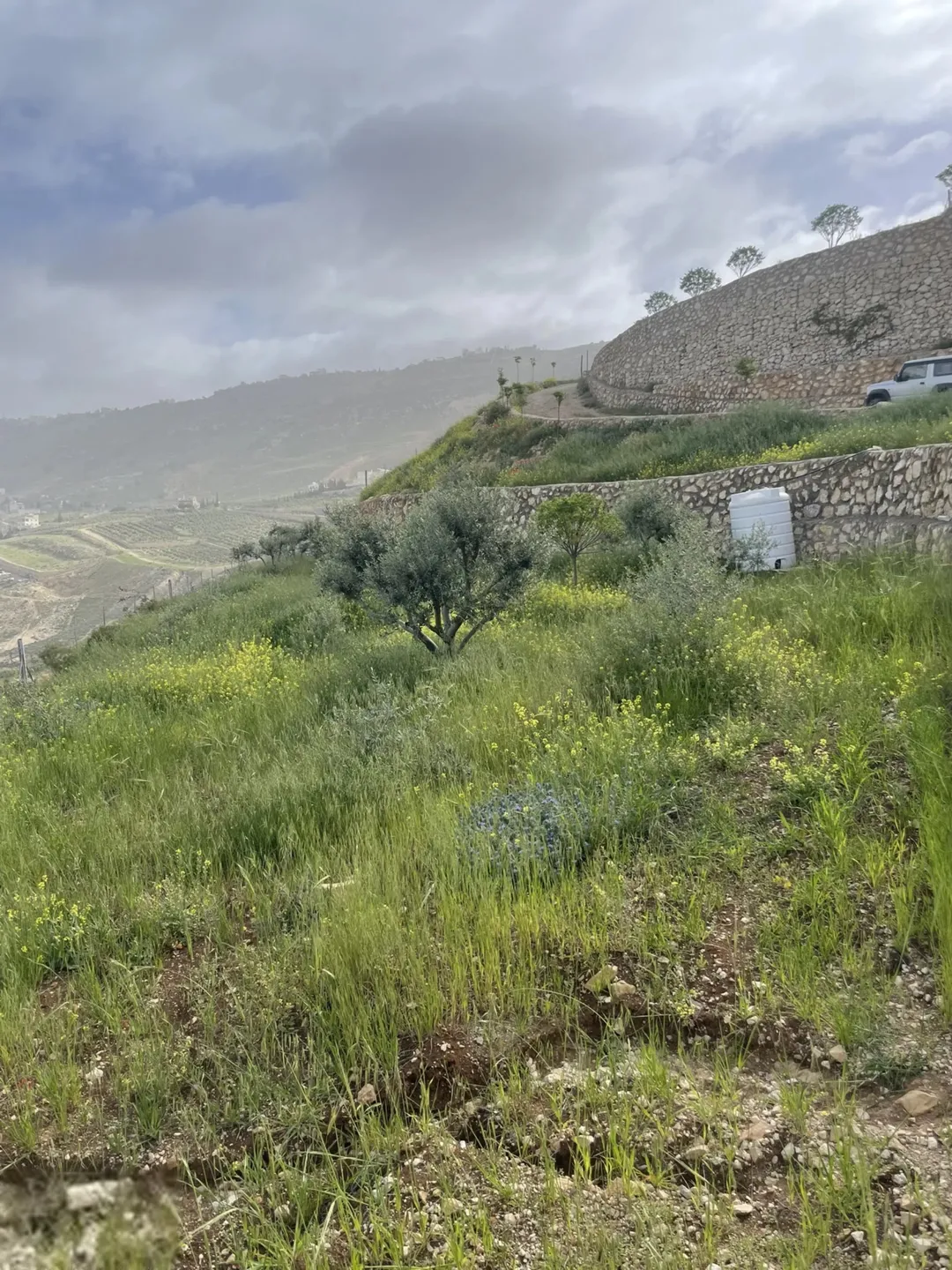 مزرعة 4 دونمات في مغاريب السلط إطلالة على فلسطين للبيع
