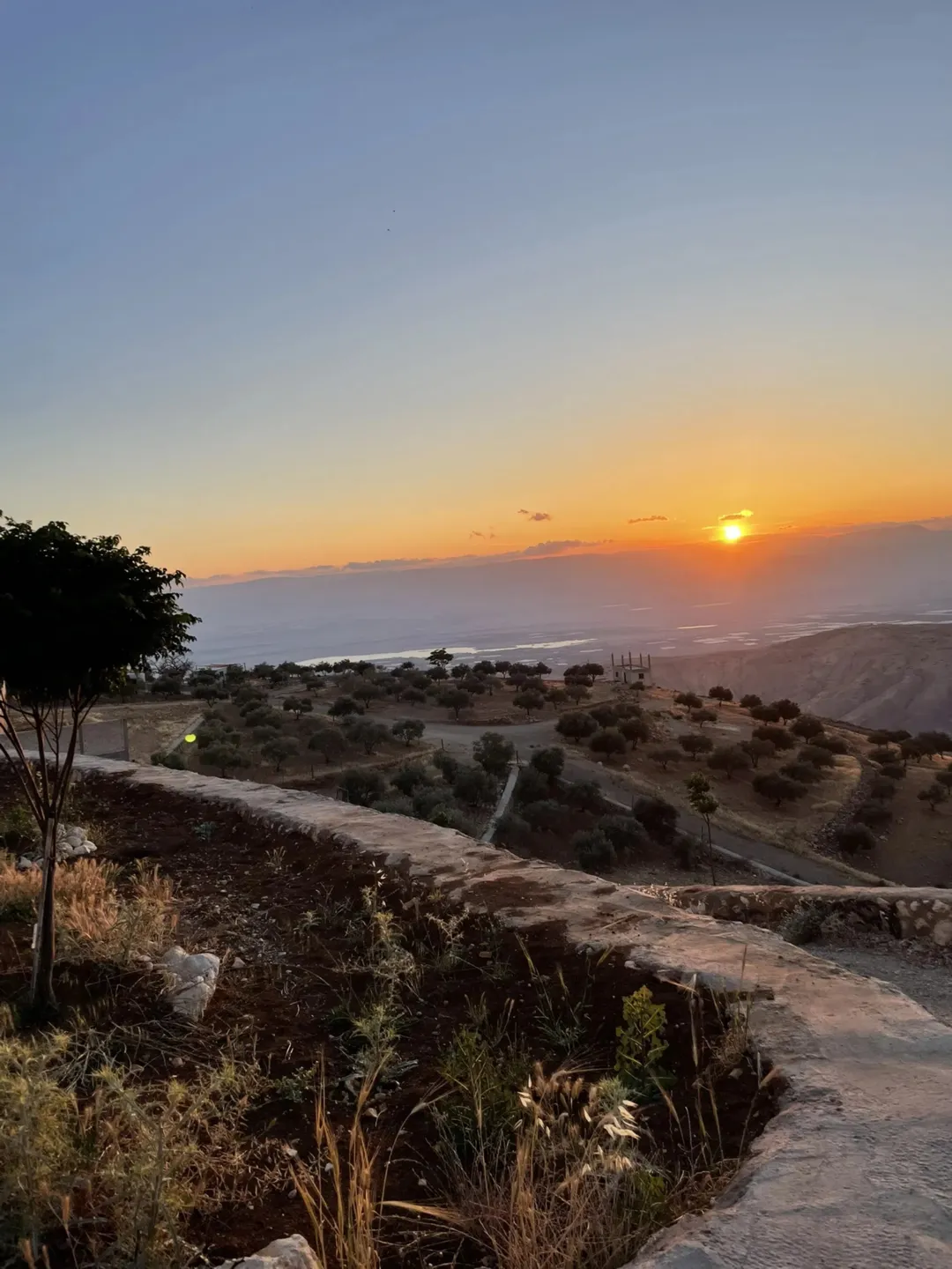 مزرعة 4 دونمات في مغاريب السلط إطلالة على فلسطين للبيع