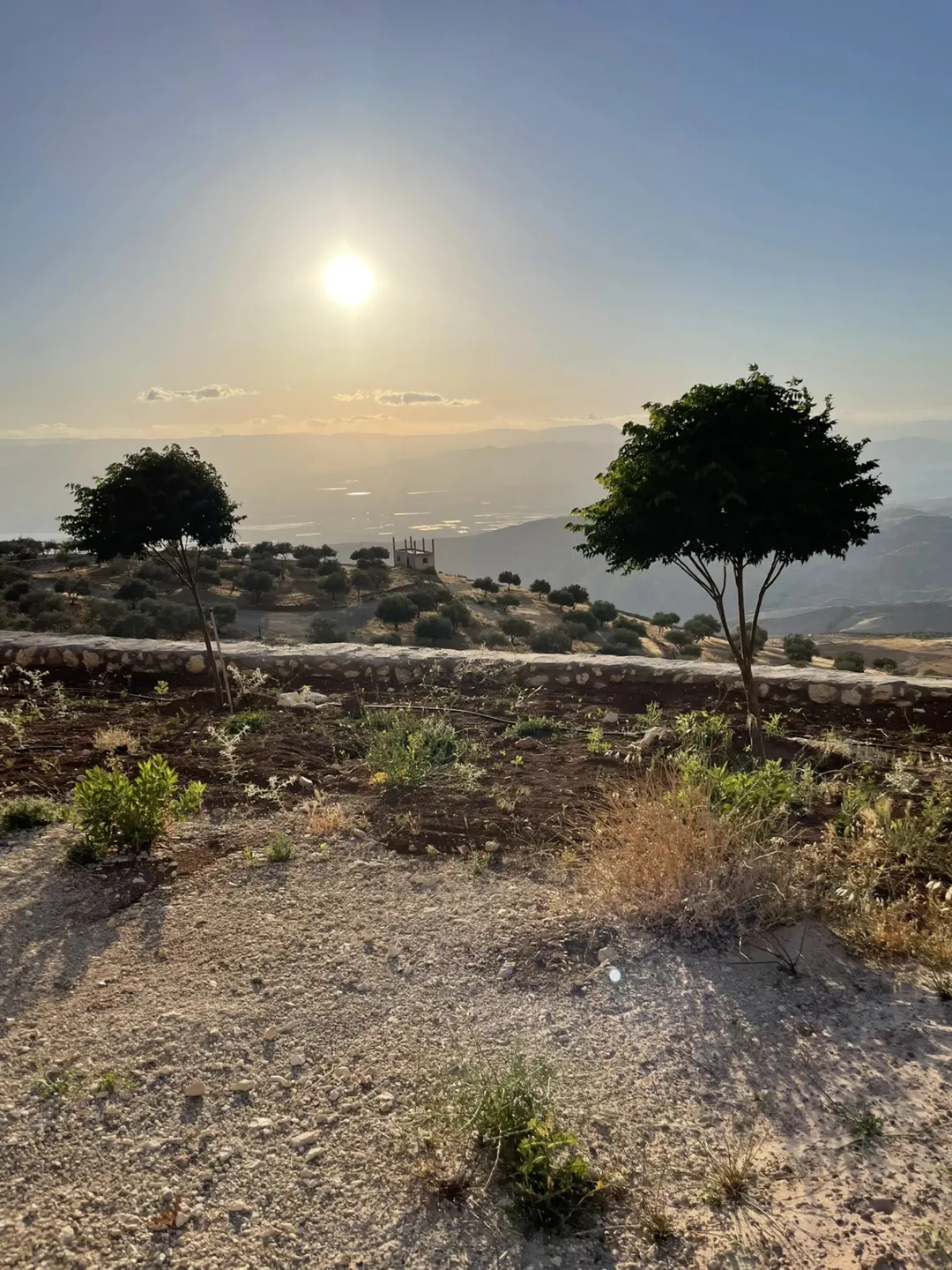 مزرعة 4 دونمات في مغاريب السلط إطلالة على فلسطين للبيع