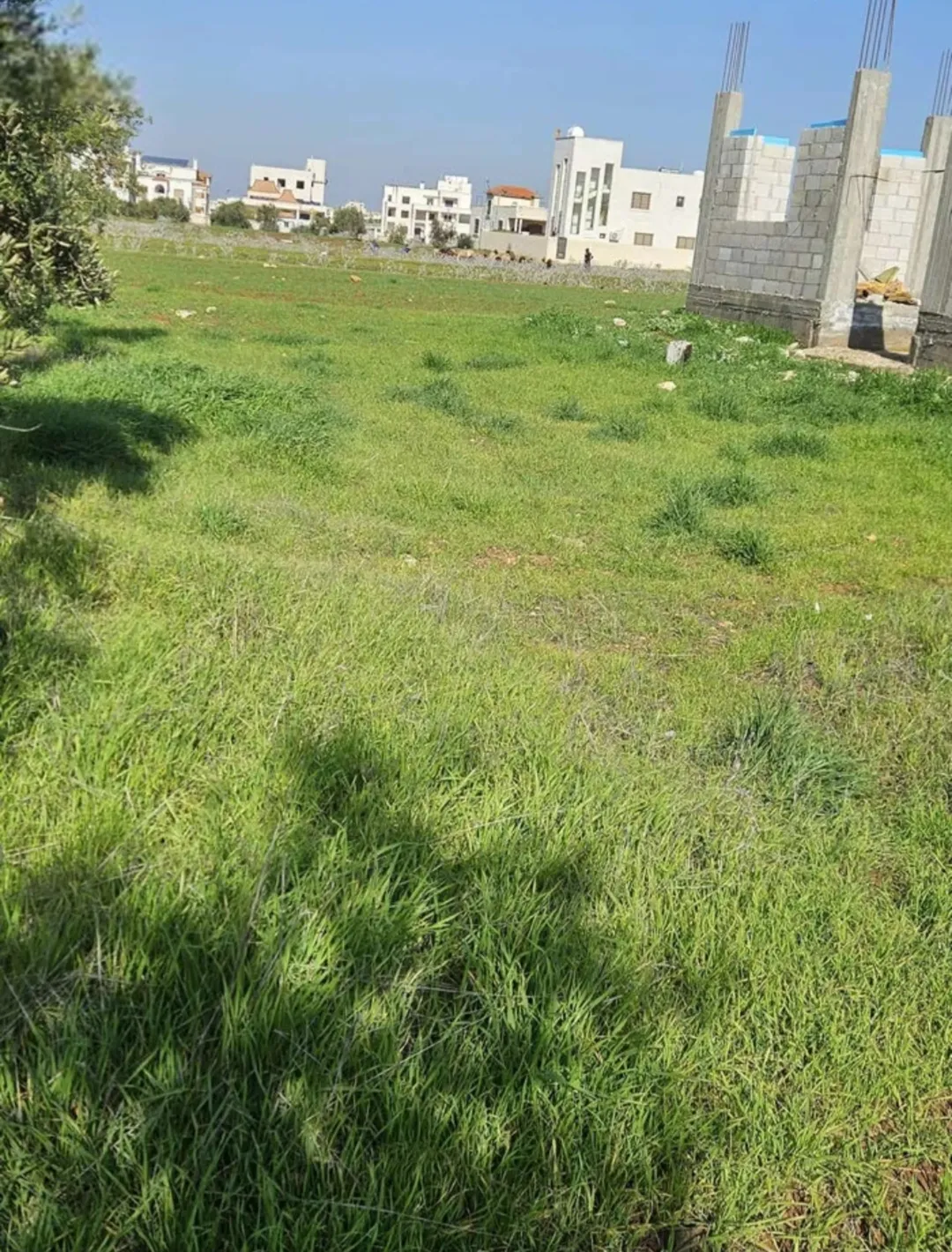 أرض سكنية مميزة للبيع في بشرى – حوض الدغيم بمساحة 457 م٢