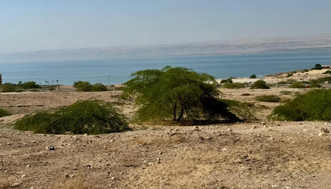 أرض بالبحر الميت اطلاله رائعة على البحر – للبيع – شارع الفنادق
