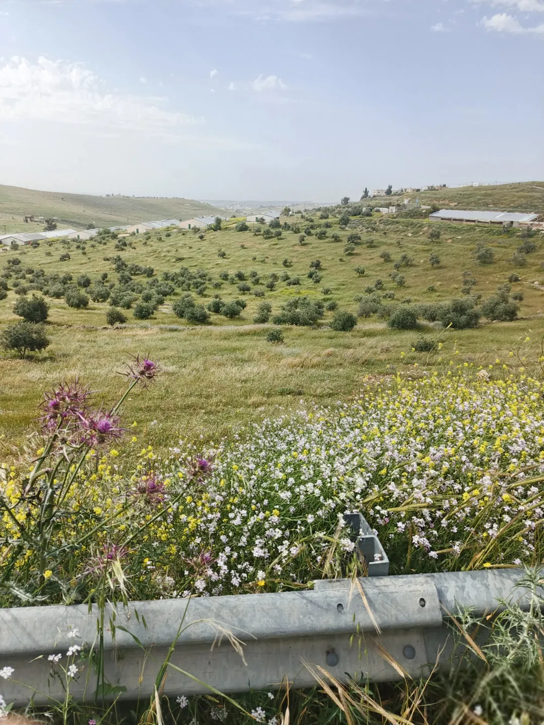 أرض مميزة بمساحة واسعة في رحاب
