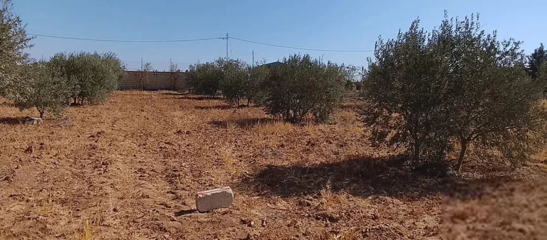 قطعة ارض مميزة للبيع مباشرة