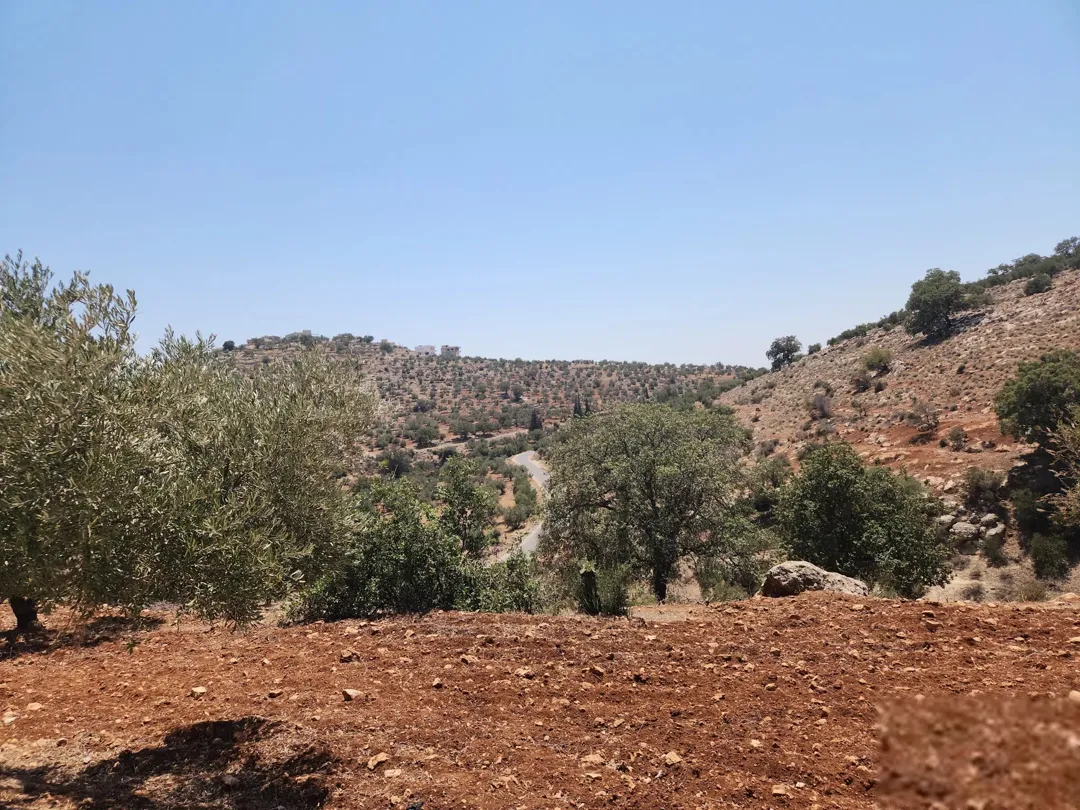 ارض للبيع في بدر الجديده عمان الغربية – زبدا بالقرب من سمير الرفاعي