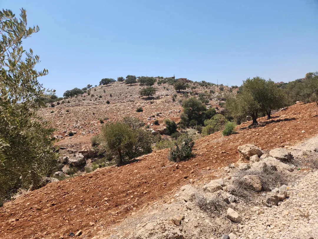 ارض للبيع في بدر الجديده عمان الغربية – زبدا بالقرب من سمير الرفاعي