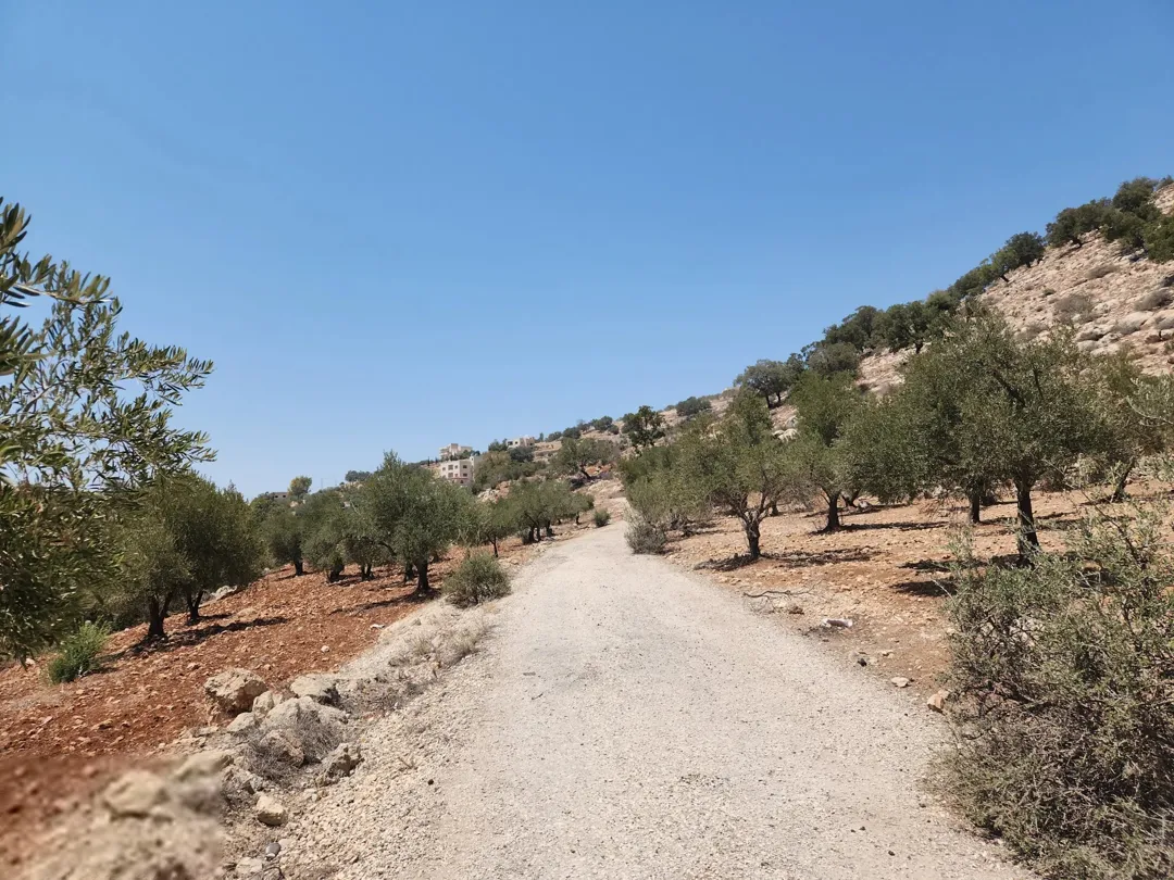 ارض للبيع في بدر الجديده عمان الغربية – زبدا بالقرب من سمير الرفاعي