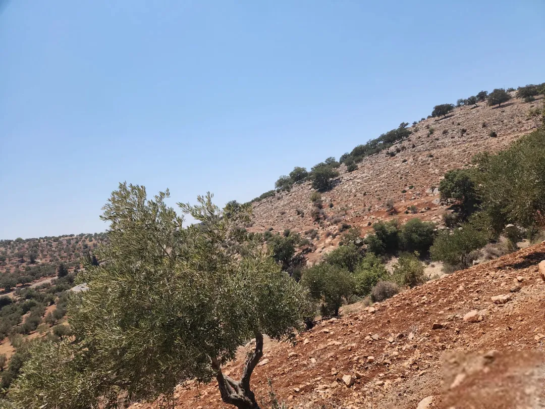ارض للبيع في بدر الجديده عمان الغربية – زبدا بالقرب من سمير الرفاعي