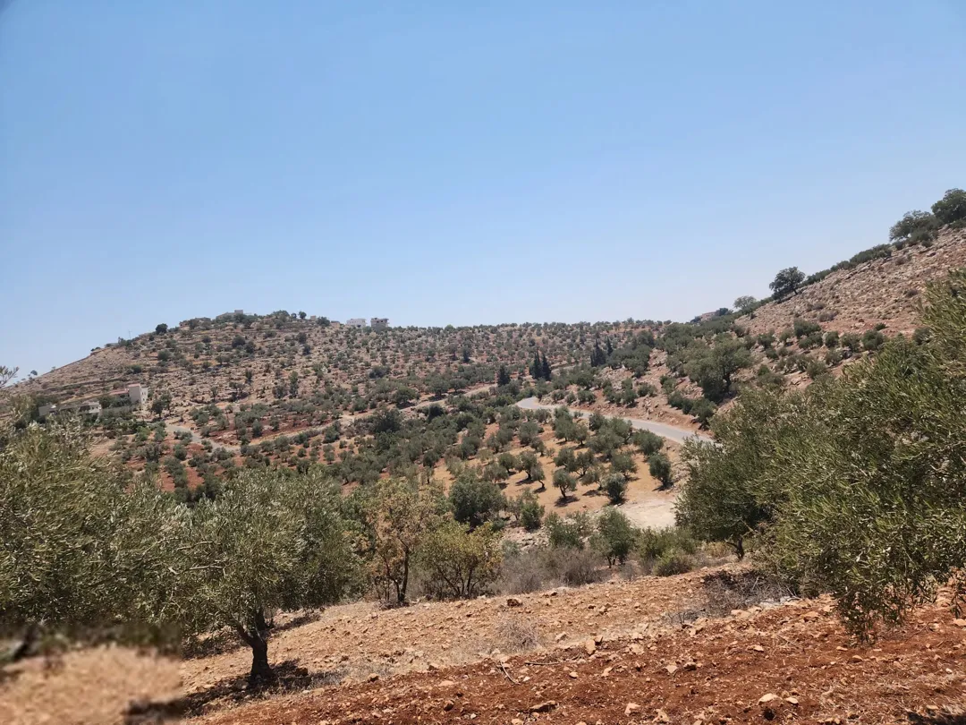 ارض للبيع في بدر الجديده عمان الغربية – زبدا بالقرب من سمير الرفاعي