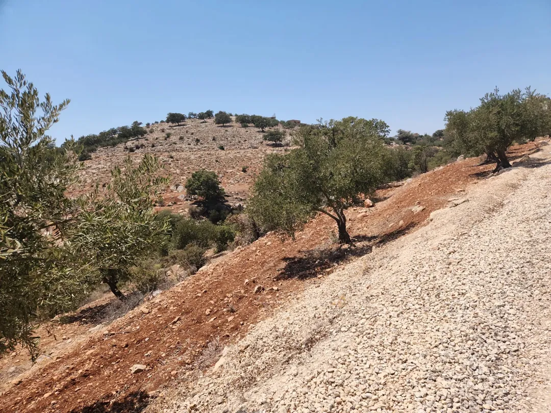 ارض للبيع في بدر الجديده عمان الغربية – زبدا بالقرب من سمير الرفاعي