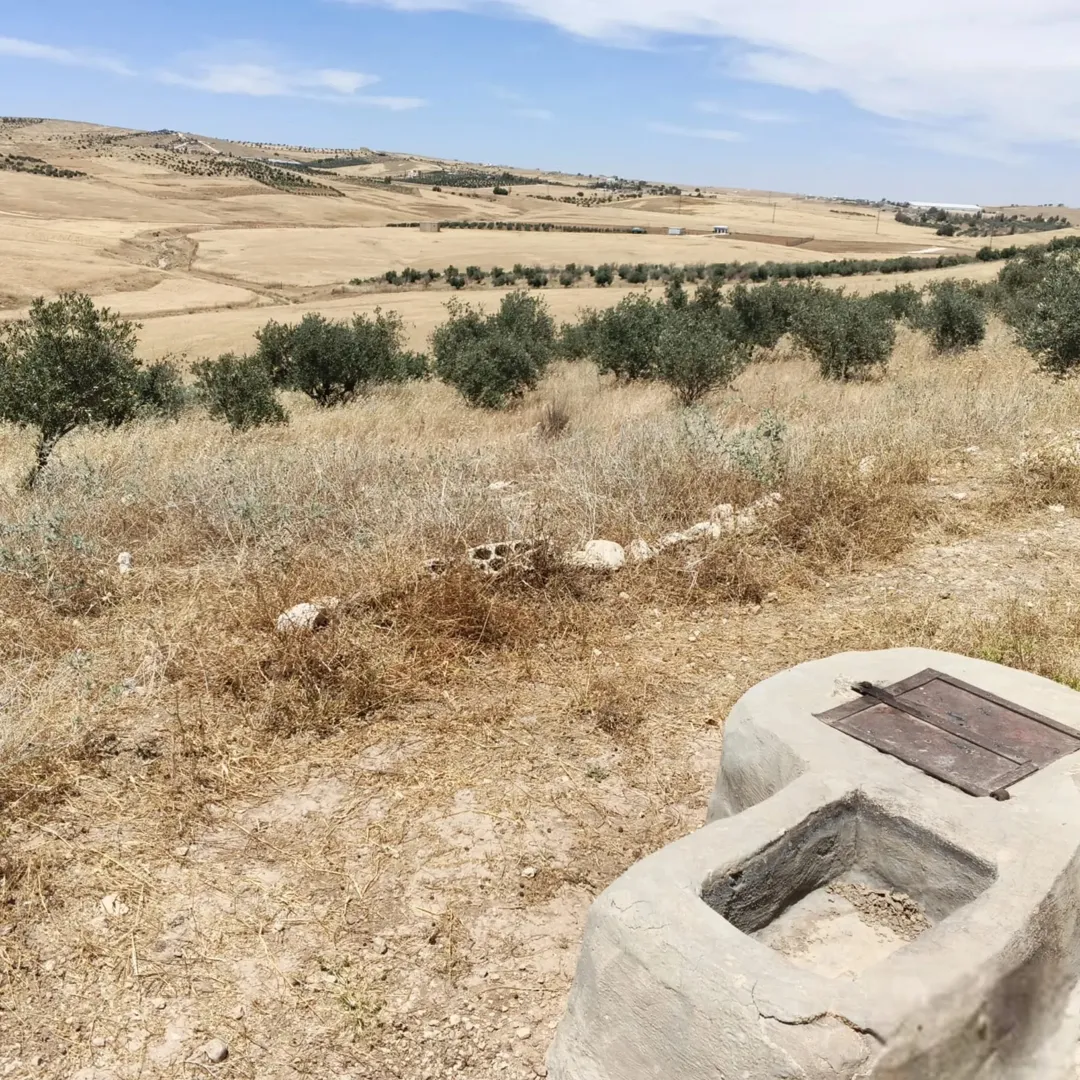أرض زراعية مميزة للبيع في مادبا – ذيبان