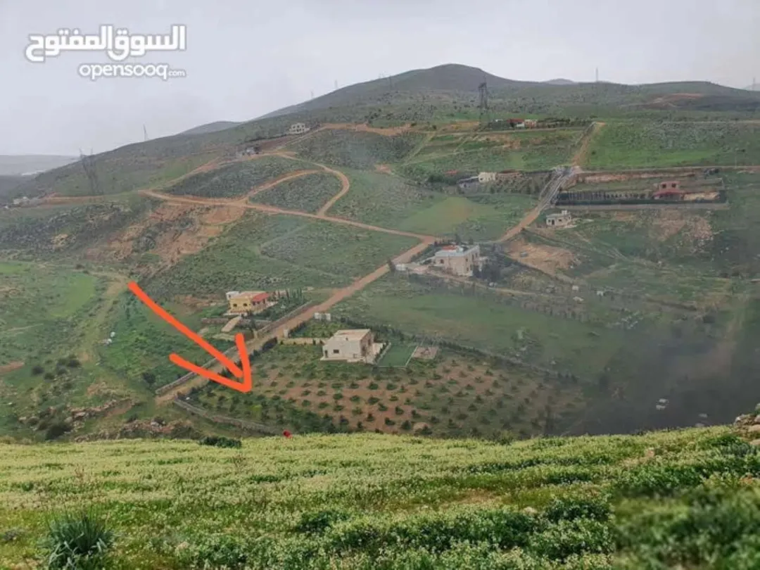 مزرعة للبيع