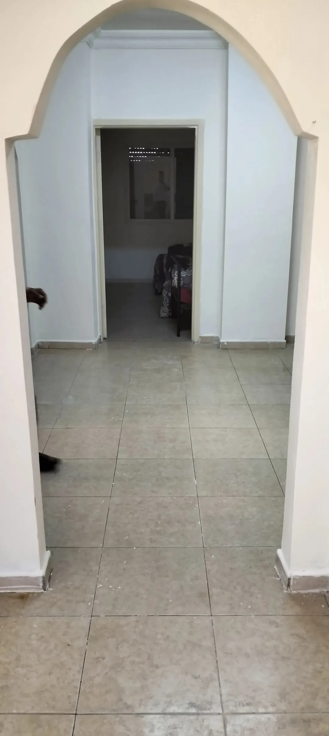…