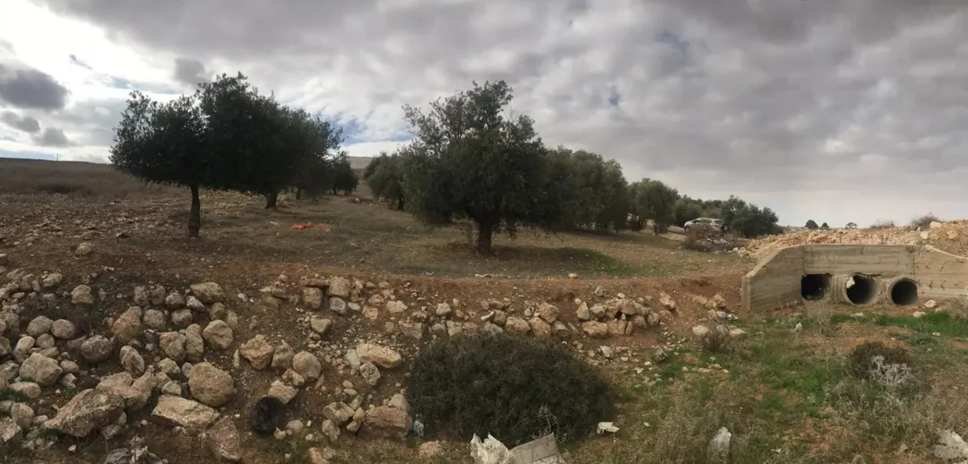 أرض زراعية في المشقر بجوار الجامعة الألمانية للبيع