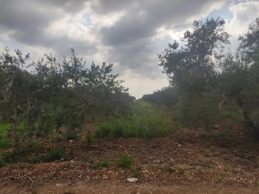 قطعة ارض مميزة بموقع مميز