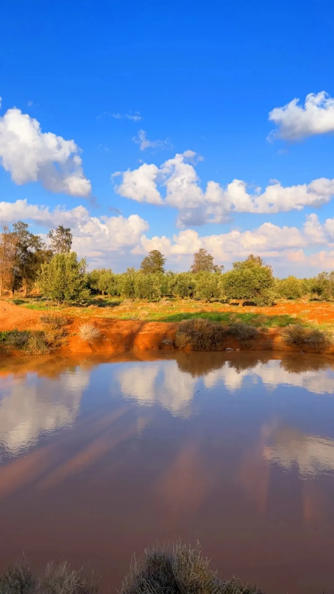قطعتان زراعيتان للبيع في الزرقاء الظليل قصر الحلابات 57 دونم