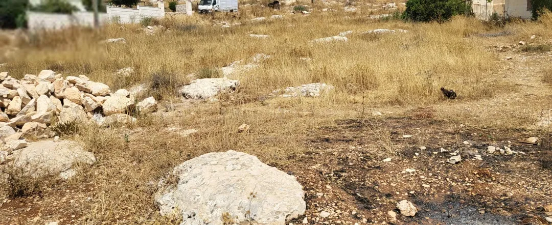 أرض سكنية مستوية للبيع في الأشرفية – إربد