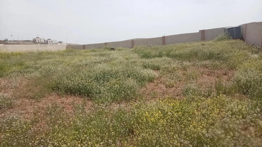 قطعة أرض مميزة في منطقة البيضة بالقرب من قصر الطيار