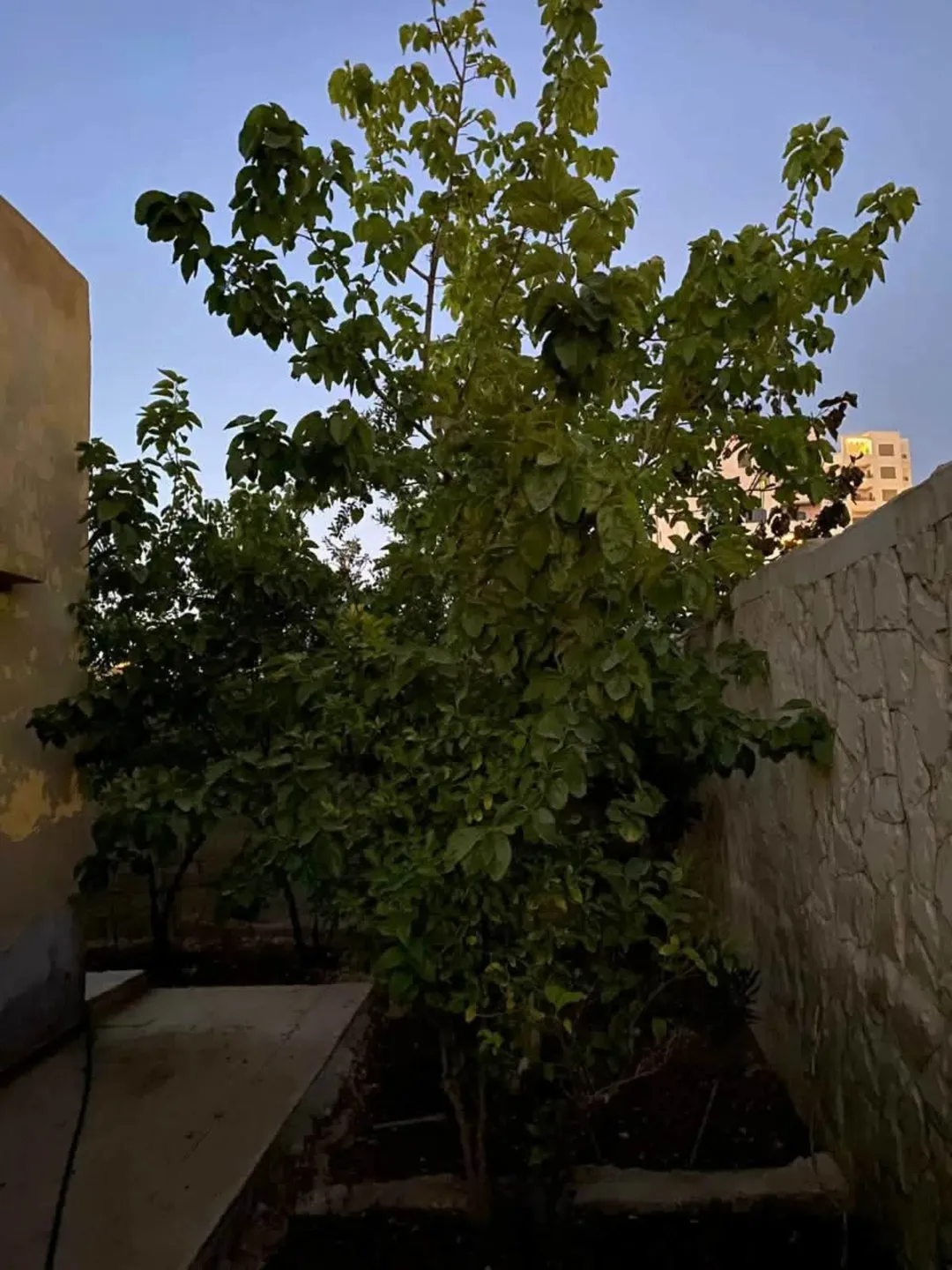 منزل مستقل للبيع في الزرقاء الجديدة – حي المسامير