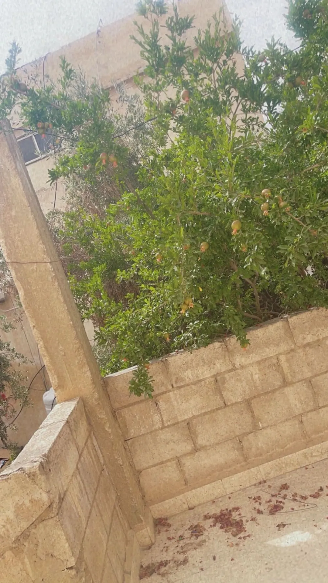 منزل مستقل للبيت