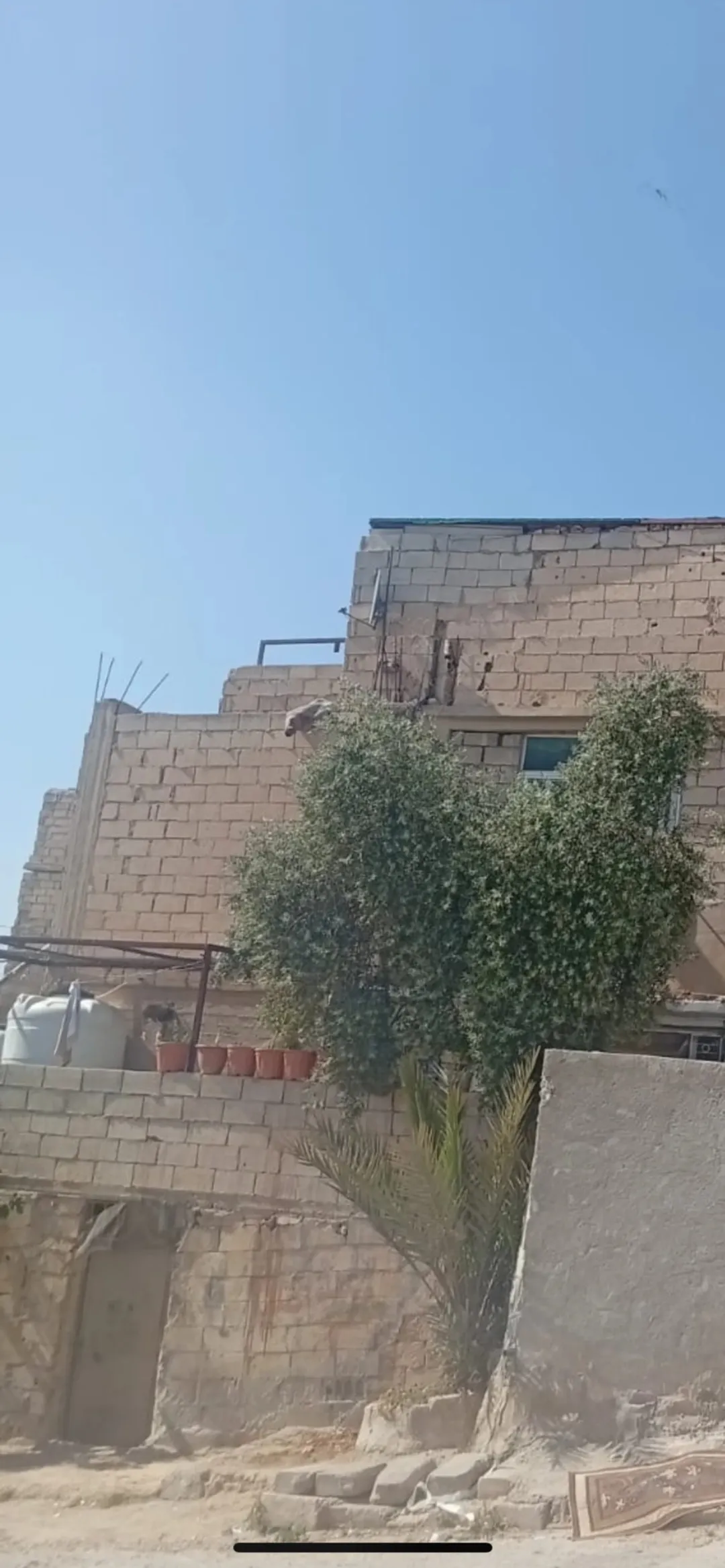 عماره للبيع.