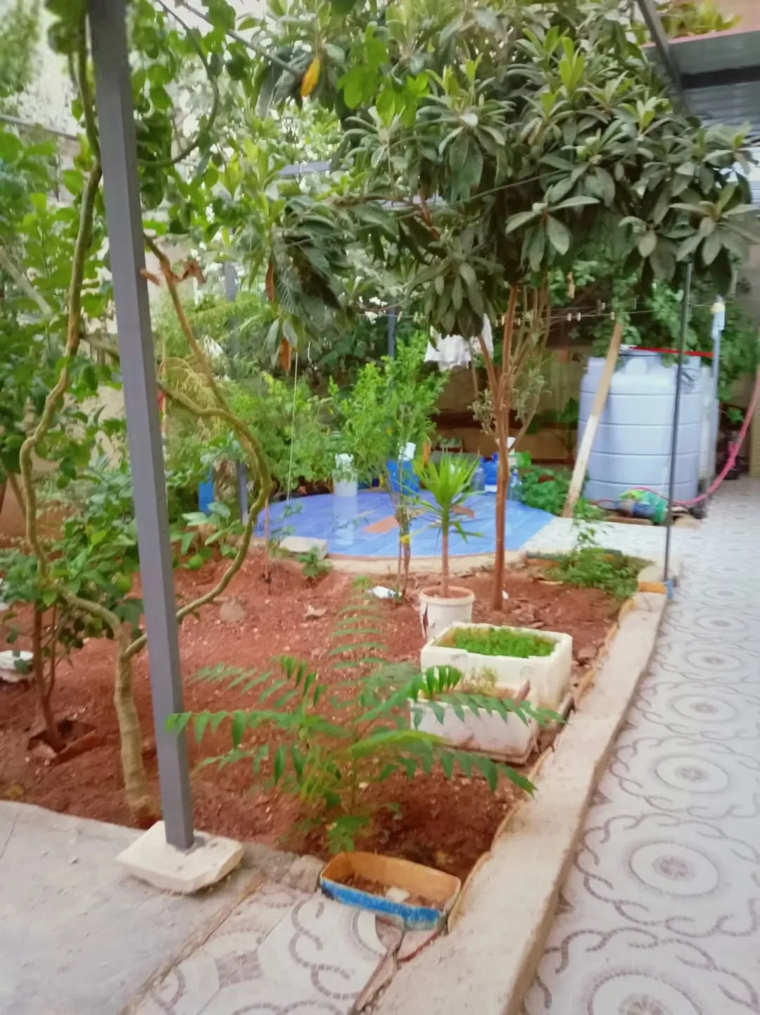 شقه مميزة مع حديقة وشجر مثمر للبيع
