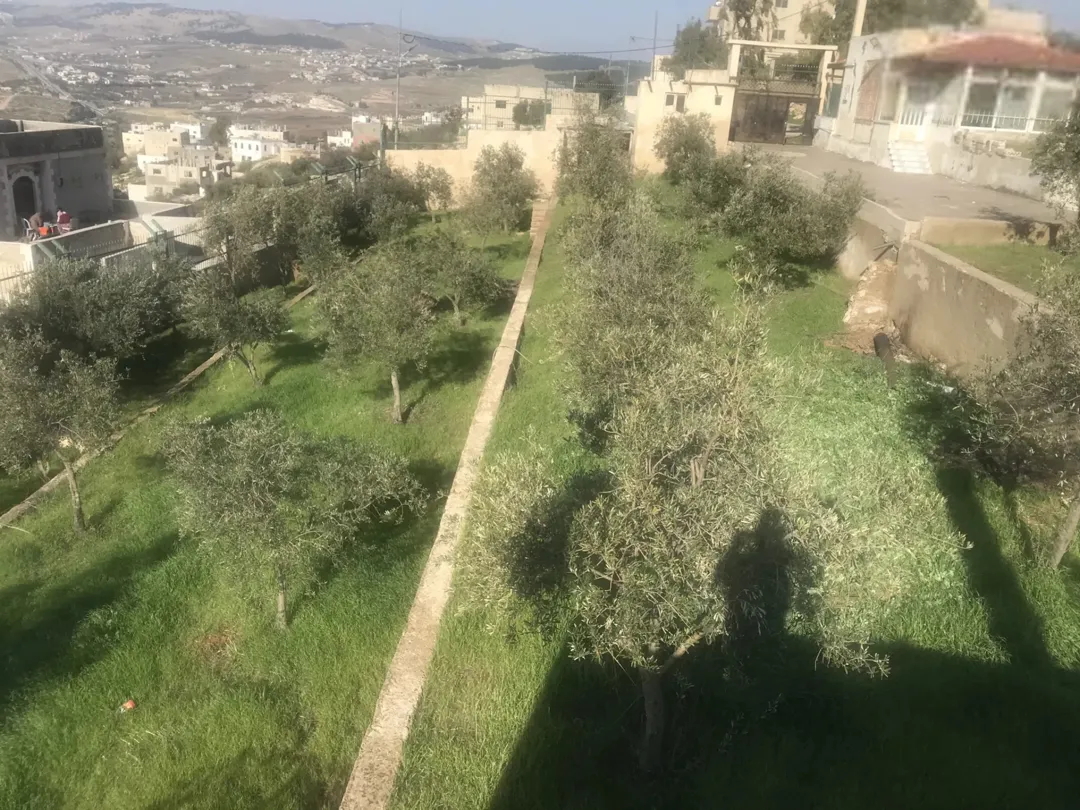 ارض مميزة للبيع في جرش بالقرب من مقام النبي هود
