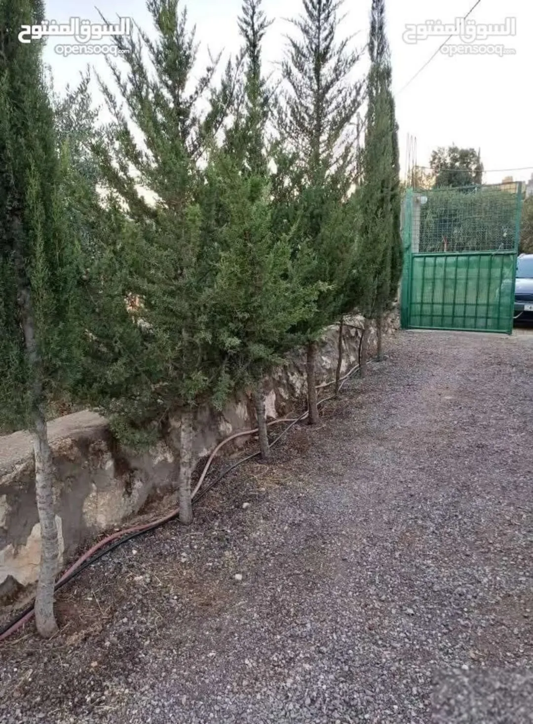 مزرعة لقطة مع بيت ريفي ومسبح في دحل شرق جرش منطقة مزارع وشاليهات قوشان