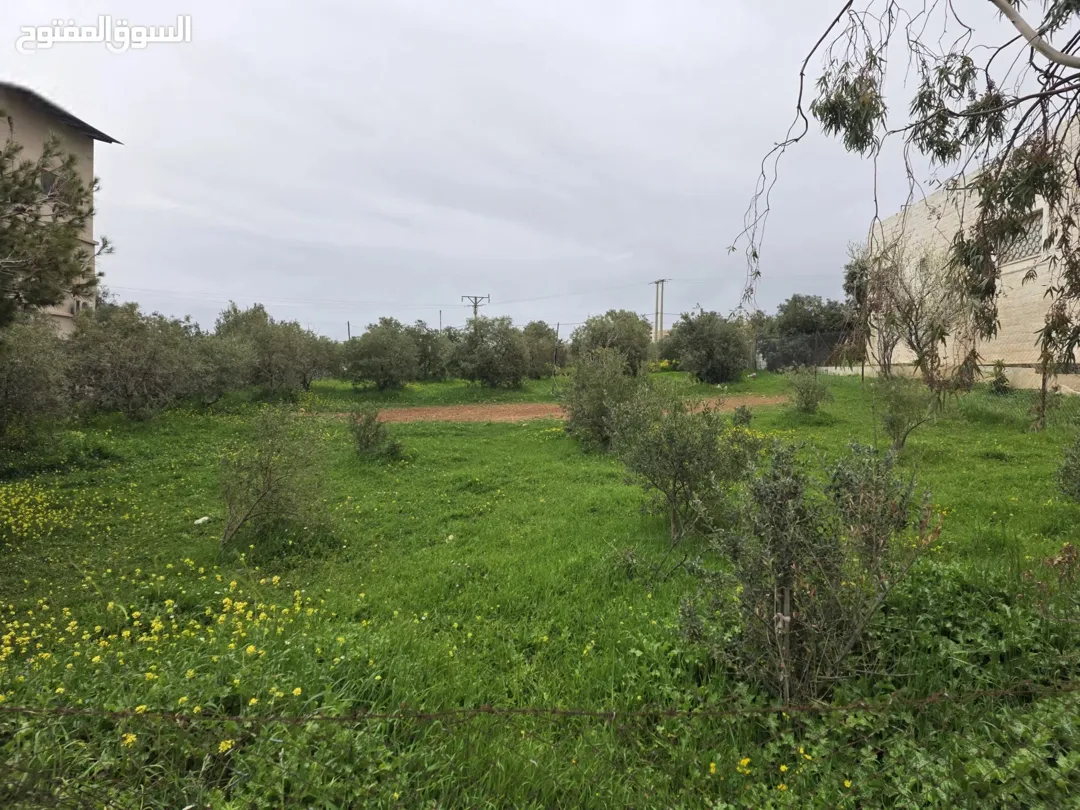 قطعة أرض للبيع أراضي الحصن حوض المراح وأم الغزلان