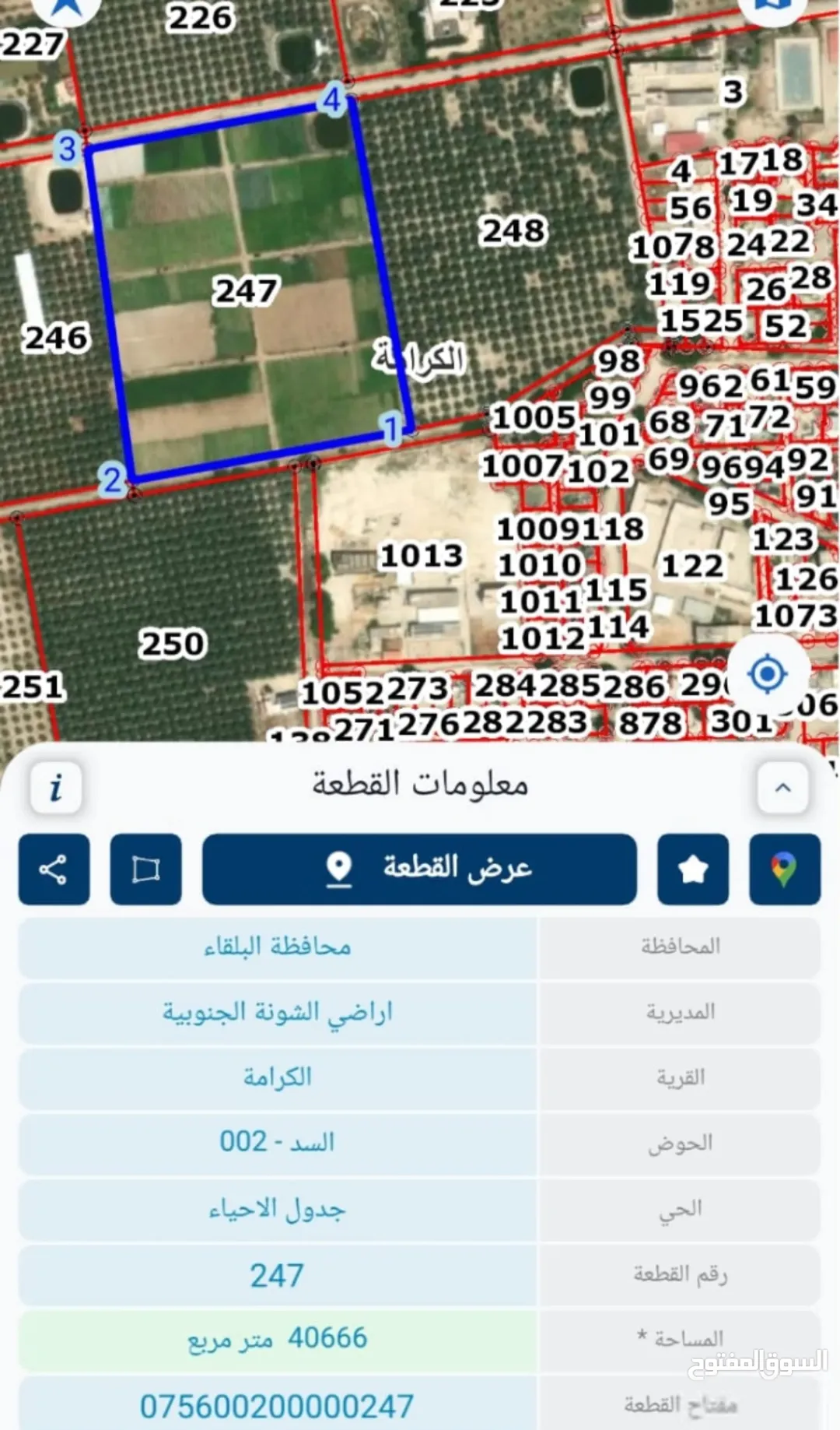 أرض زراعية مميزة للبيع في الكرامة – محافظة البلقاء