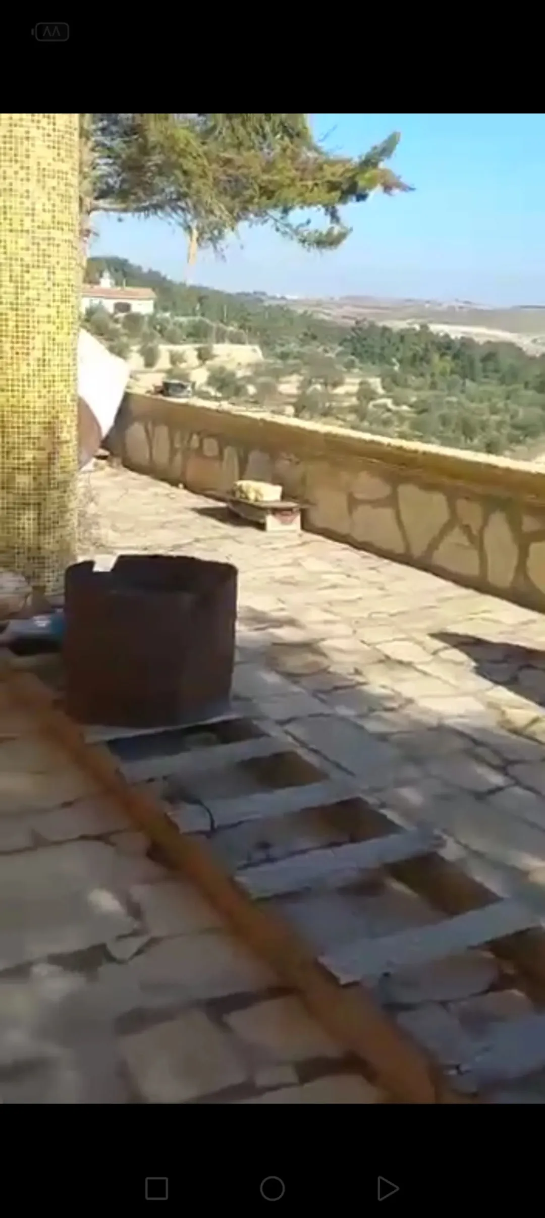 اكبر مزارع الزيتون في جرش 75 دنم مع بيت ريفي إطلالة جميلة جدا