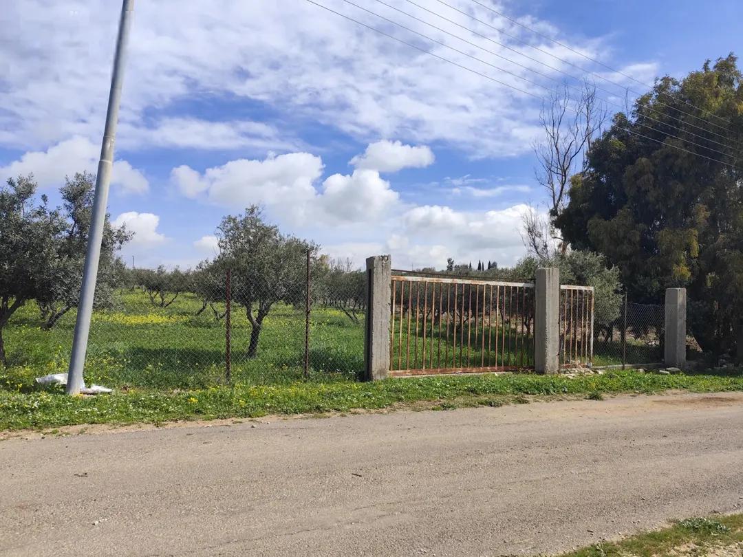 أراضي سكنية مميزة للبيع في ناعور – حسبان