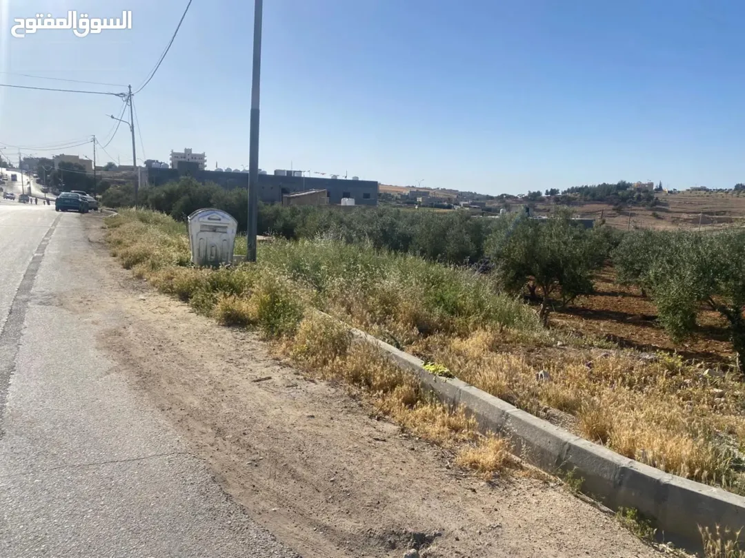 للبيع قطعة أرض تجارية وسكنية متميزة في ذيبان