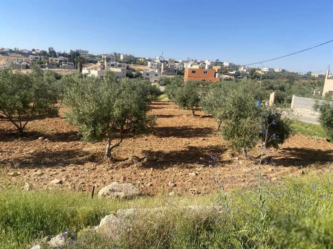 للبيع قطعة أرض تجارية وسكنية متميزة في ذيبان
