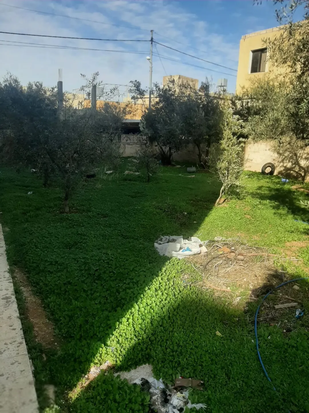 عمّار عين الباشا صرح سكني يقع في قلب مثلث المدارس