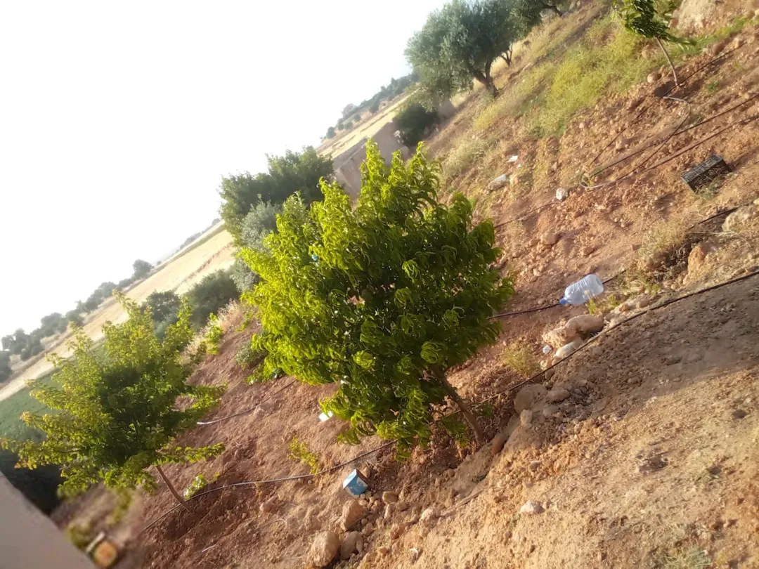 للبيع أرض زراعية مع بيت ريفي ساحر