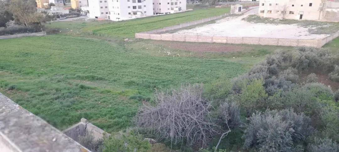 ارض لقطة للبيع في ناعور بسعر مغري الارض موقعها جدا ممتاز للسكن و التحارة بحكم قربه من الخدمات