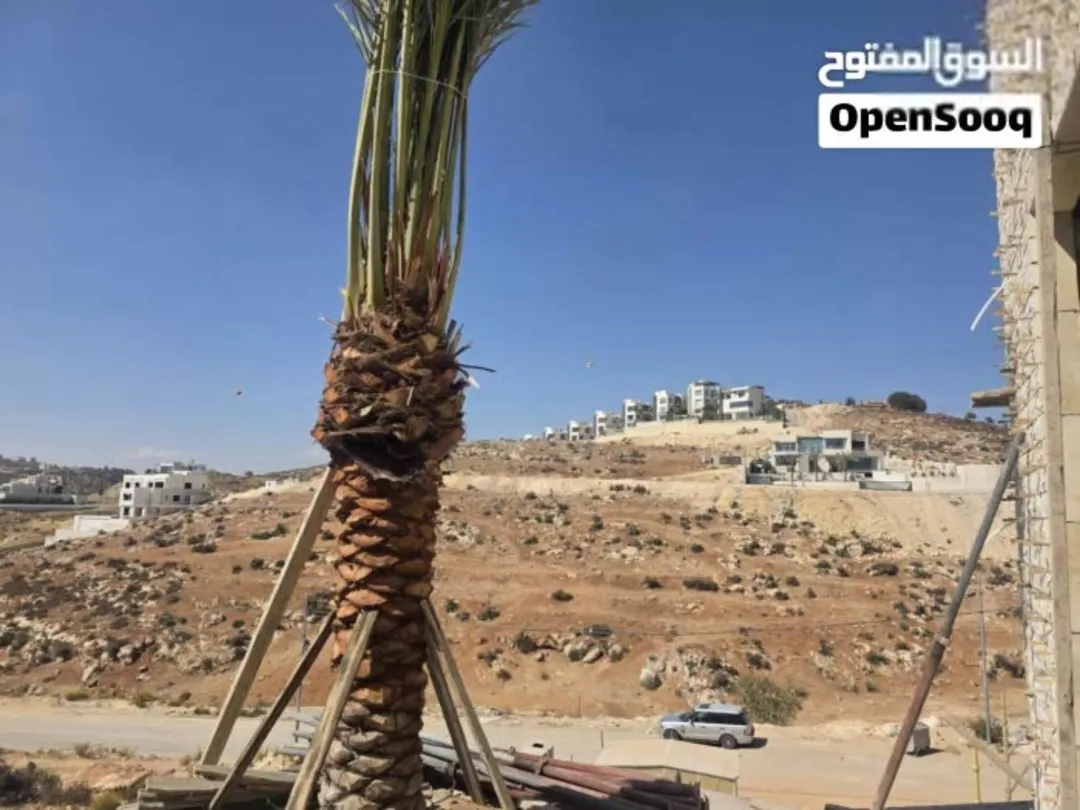 فلل فاخرة للبيع في دابوق بدر الجديدة فرصة استثمارية