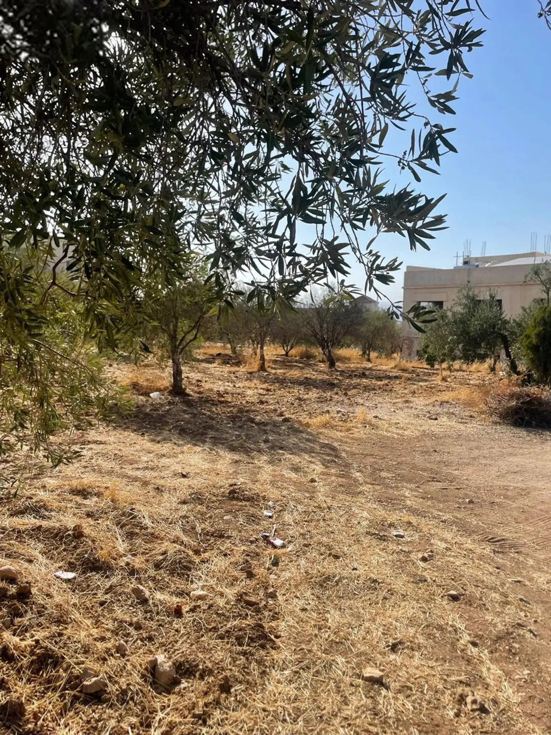 ارض لجميع الاستخدامات قريبة على مستشفى الرشيد وايضا قريبة على شارع الاردن الأرض مشتركة بس حصتك موجود