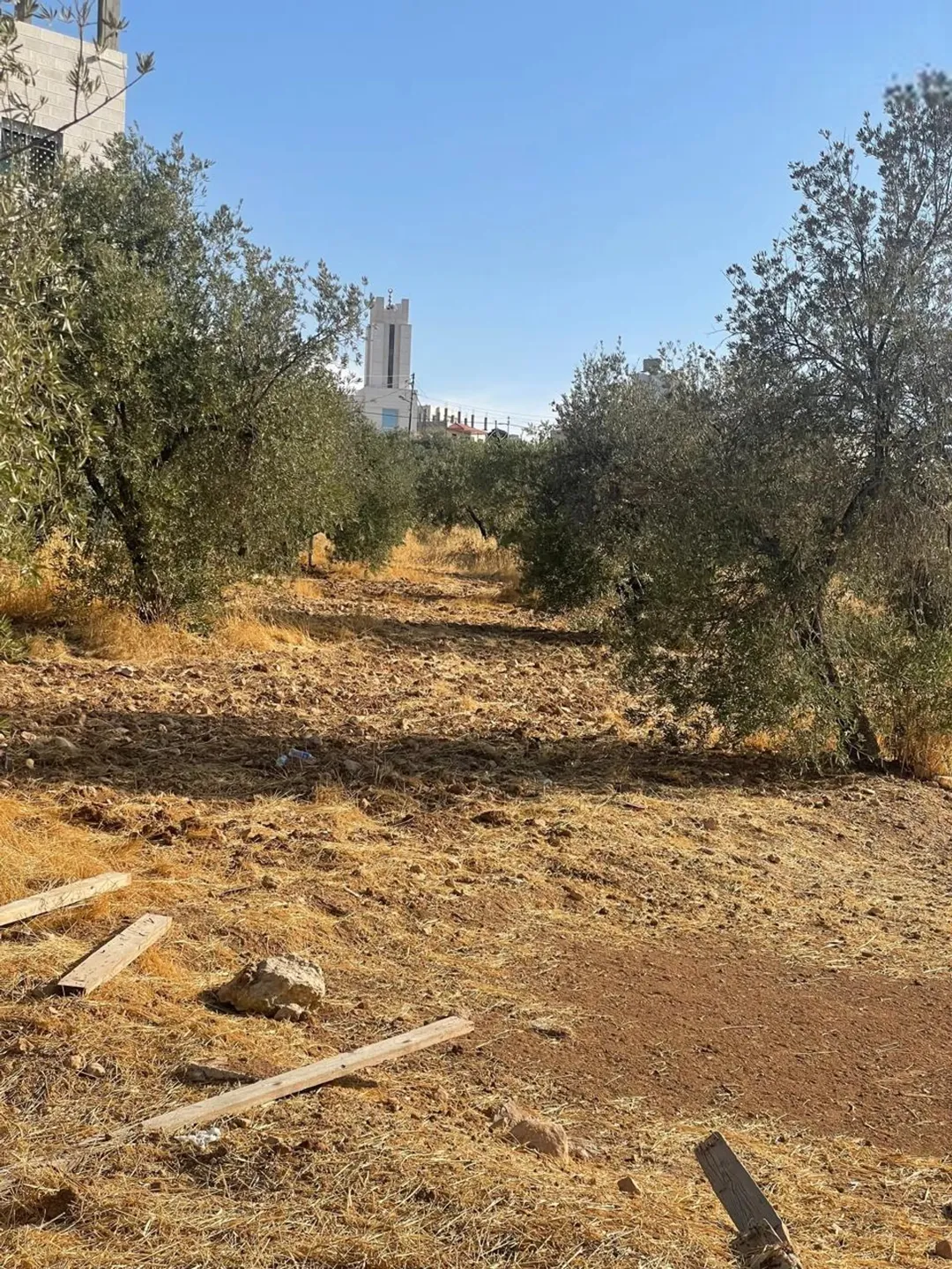 ارض لجميع الاستخدامات قريبة على مستشفى الرشيد وايضا قريبة على شارع الاردن الأرض مشتركة بس حصتك موجود