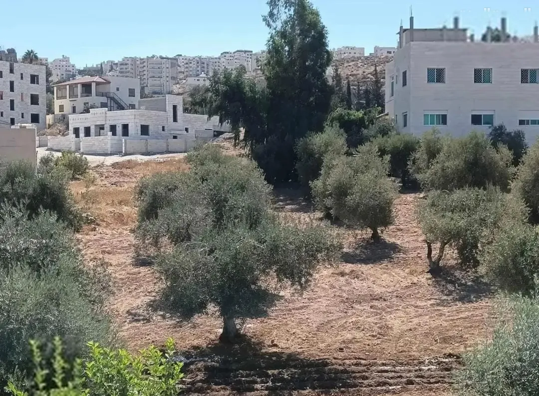 ارض لجميع الاستخدامات قريبة على مستشفى الرشيد وايضا قريبة على شارع الاردن الأرض مشتركة بس حصتك موجود