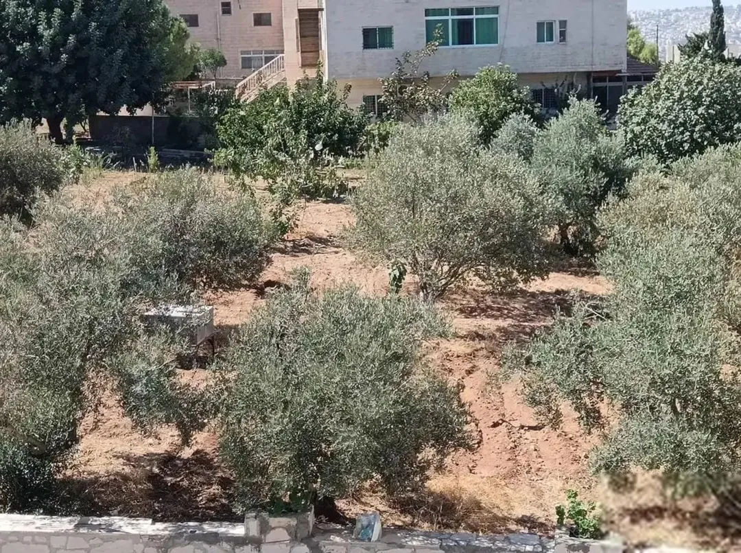 ارض لجميع الاستخدامات قريبة على مستشفى الرشيد وايضا قريبة على شارع الاردن الأرض مشتركة بس حصتك موجود