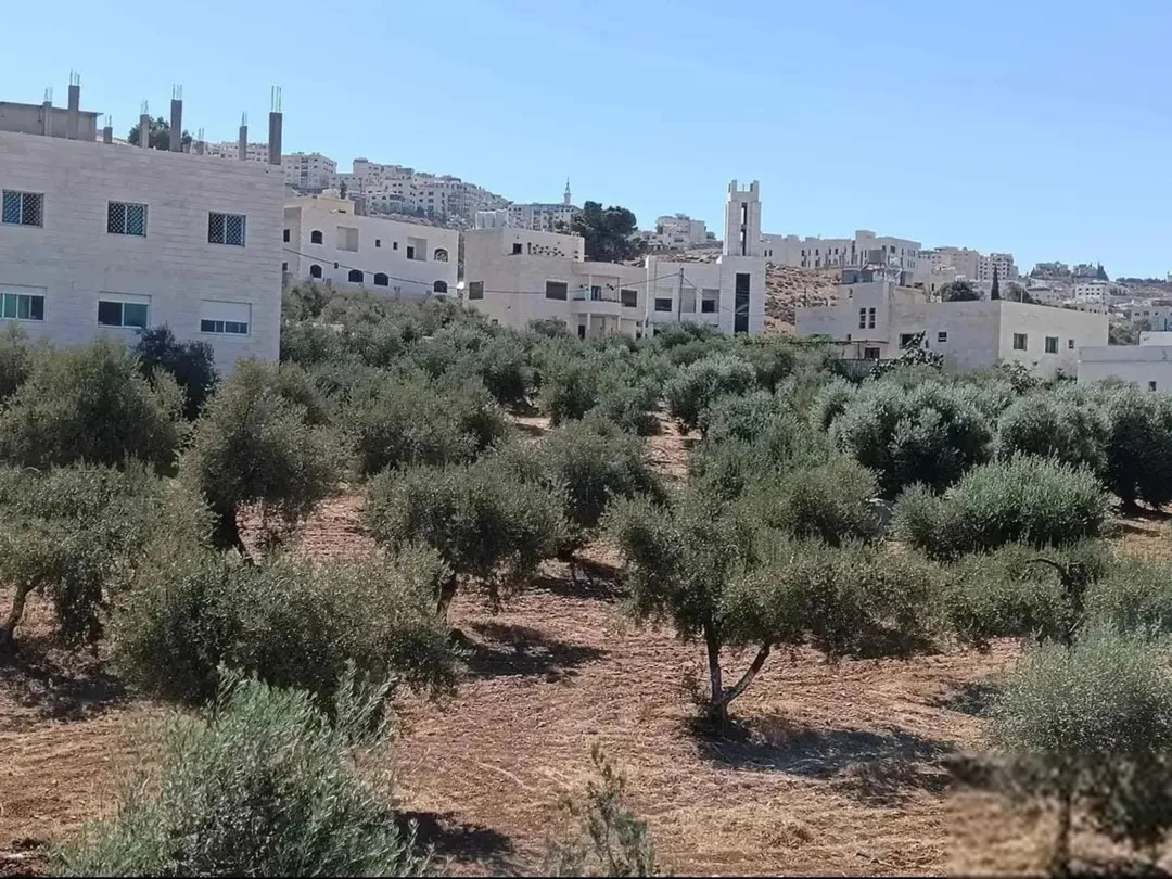 ارض لجميع الاستخدامات قريبة على مستشفى الرشيد وايضا قريبة على شارع الاردن الأرض مشتركة بس حصتك موجود