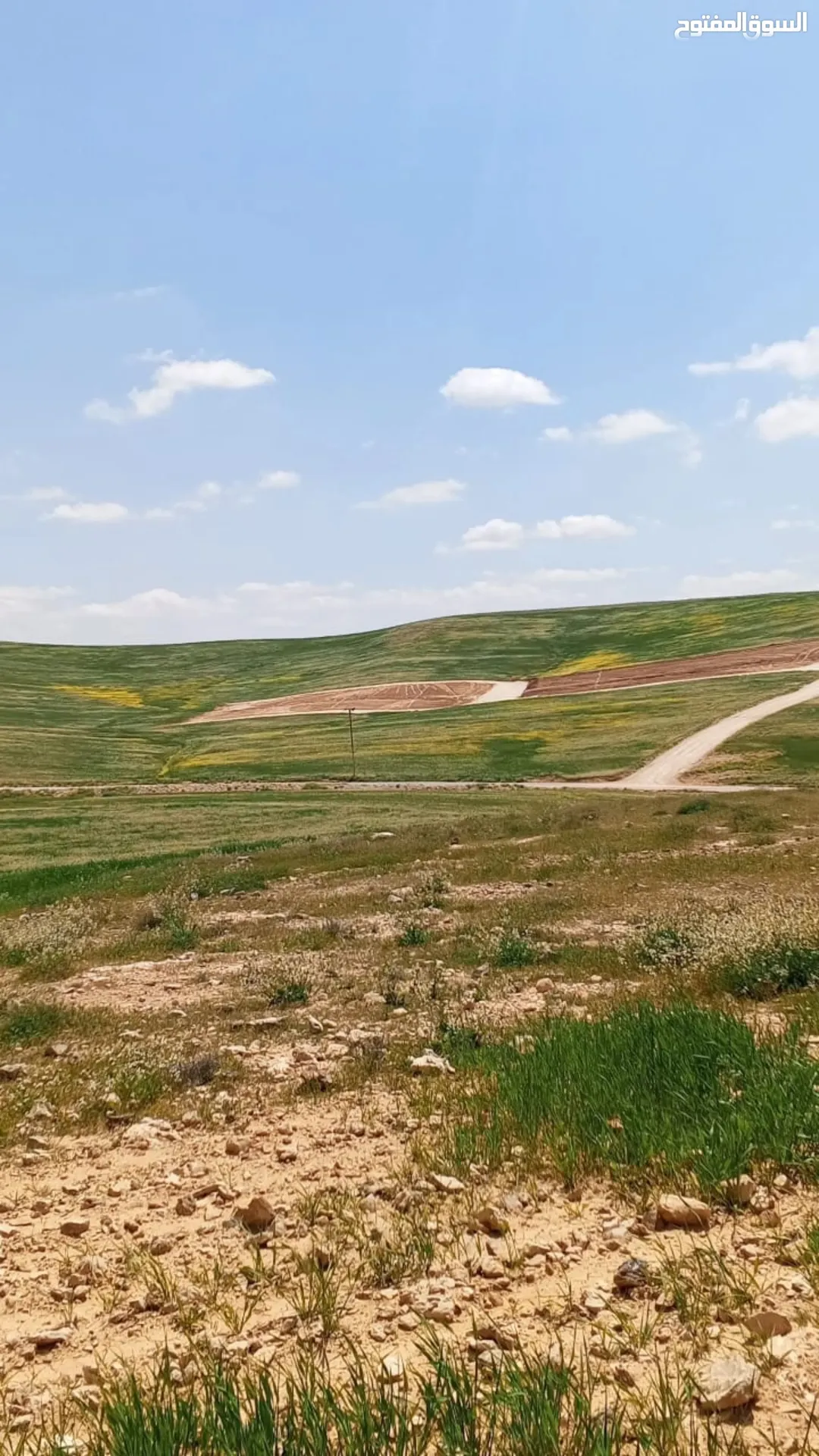 أراضي فاخرة في شارع الميه زملة العليا